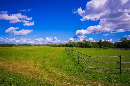 Новое Волосово - 47