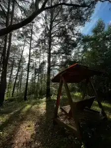 Пчелинцево - 58