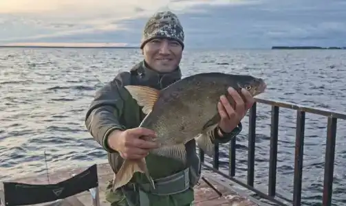 Big Fish - 31