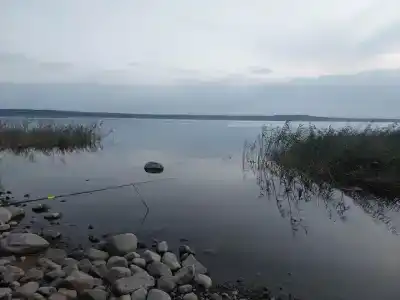 Колокольцево - 48