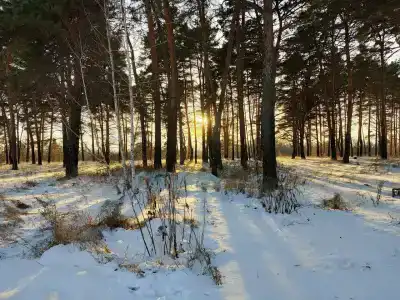 Ишимский - 29