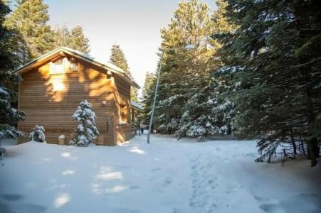 Uludag Orman Koskleri - 53