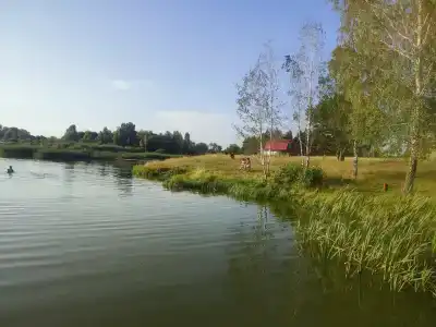 Поднебесье - 21