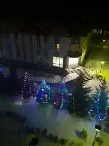 Русский лес - 49