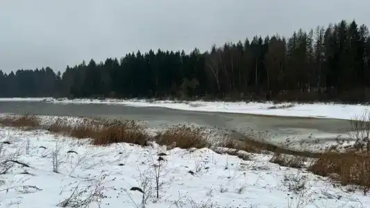 Зеленый - 38