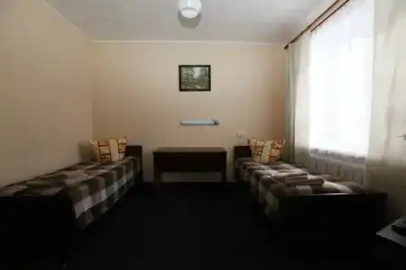 Спутник - 41