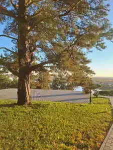 Лукоморье - 69