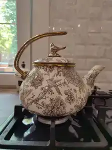 Васильевка - 87