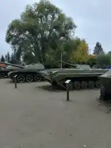 Воробьево - 41