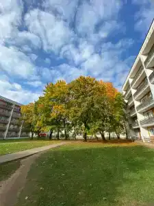 Красный Бор - 77