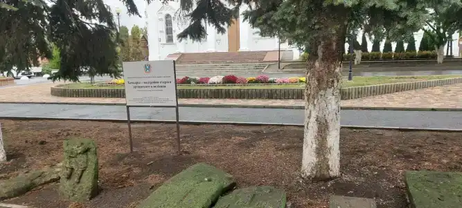 Ануш - 13