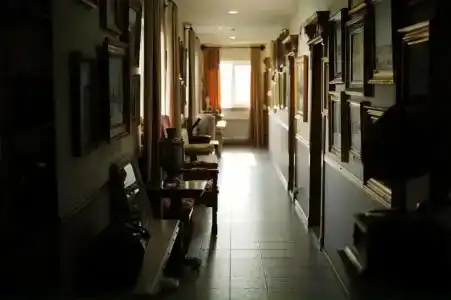 Елизарово - 20