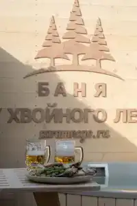Баня у хвойного леса - 1