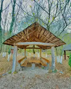 Лаго-Наки Парк Резорт - 10
