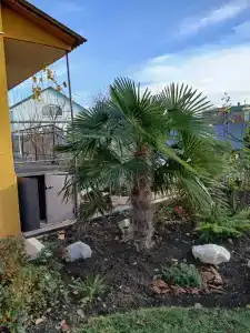 Вилла Гармония - 66