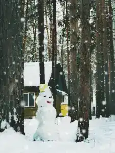 Веселая Деревня - 49