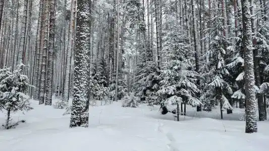 Домики на Волге - 23