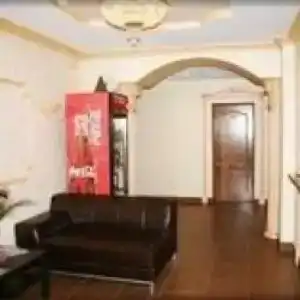 Шатура Холл - 83