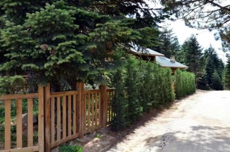 Uludag Orman Koskleri - 10