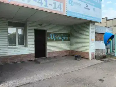 Мужской хостел Орхидея - 4