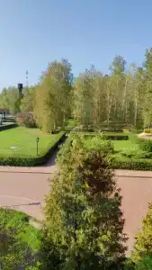Хвойный - 42