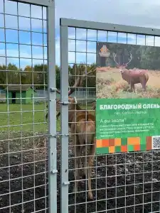 Хутор Васильевых - 8