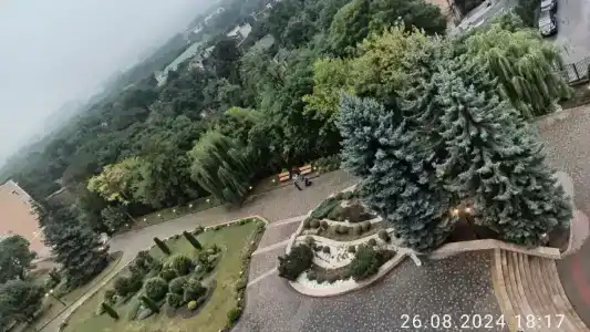 Дон - 14