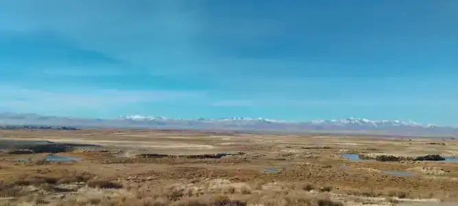 Altay Steppe - 32