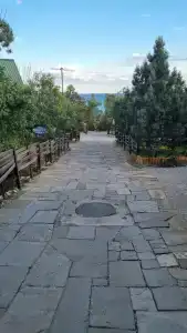 у Берендея - 38