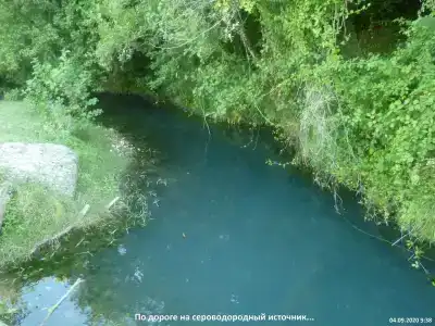 Сероводородный источник - 46