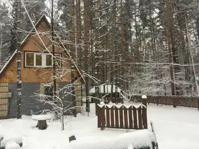 Виктория - 5