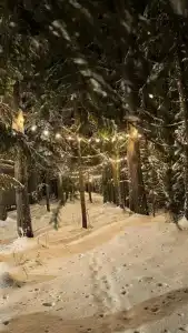 Долина Парк - 21