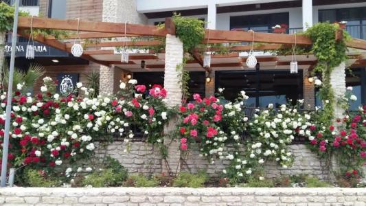 Regina Maria Spa Design - 39