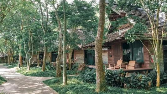 Sunset Park Resort And Spa - Sha Plus - 46