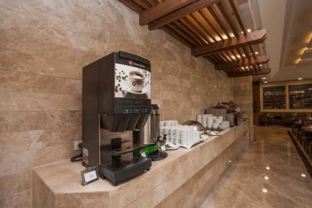 Gorrion Istanbul - 33