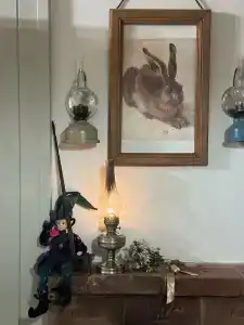 Пенеснарь - 41