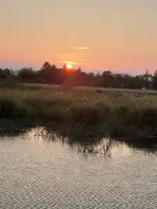 Челмужская усадьба - 89