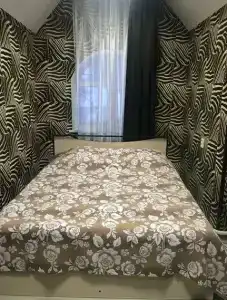 Кингфишер - 49