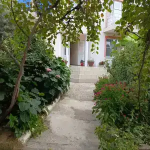 Райский уголок - 43