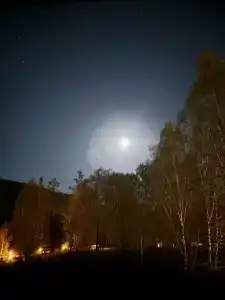 Высотник - 24