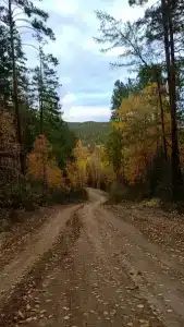 Катунь - 4