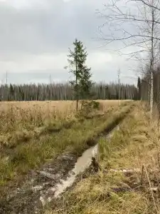 Сендега - 42