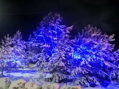 Михайловское подворье - 14