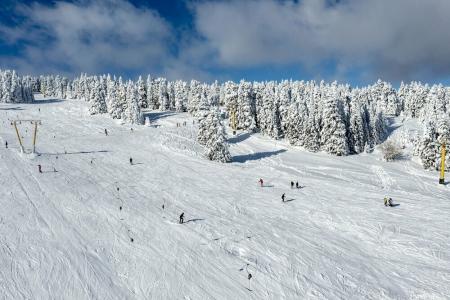 Juras Kervansaray Uludag - 83