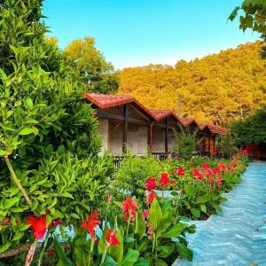 Likya Adrasan Otel - 9