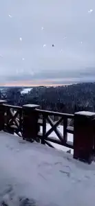Снегири - 20