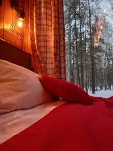 Хижина в лесу - 31