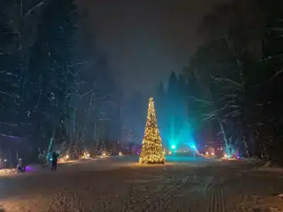Окна в лес - 48