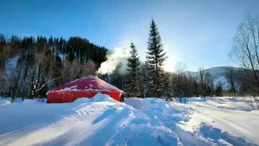 Снегири - 0
