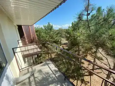 Песчаный берег - 94